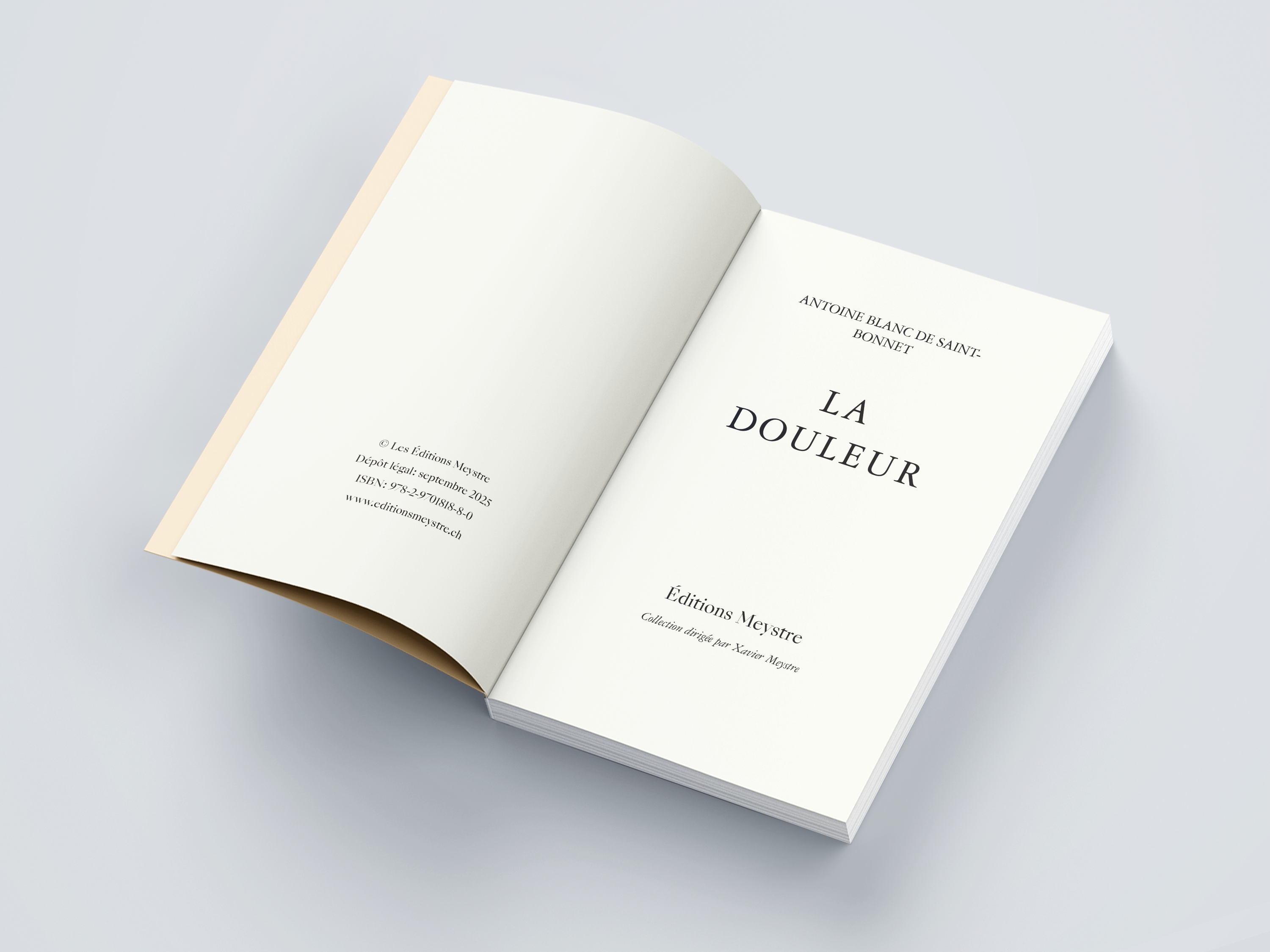 La douleur | Antoine Blanc de Saint-Bonnet