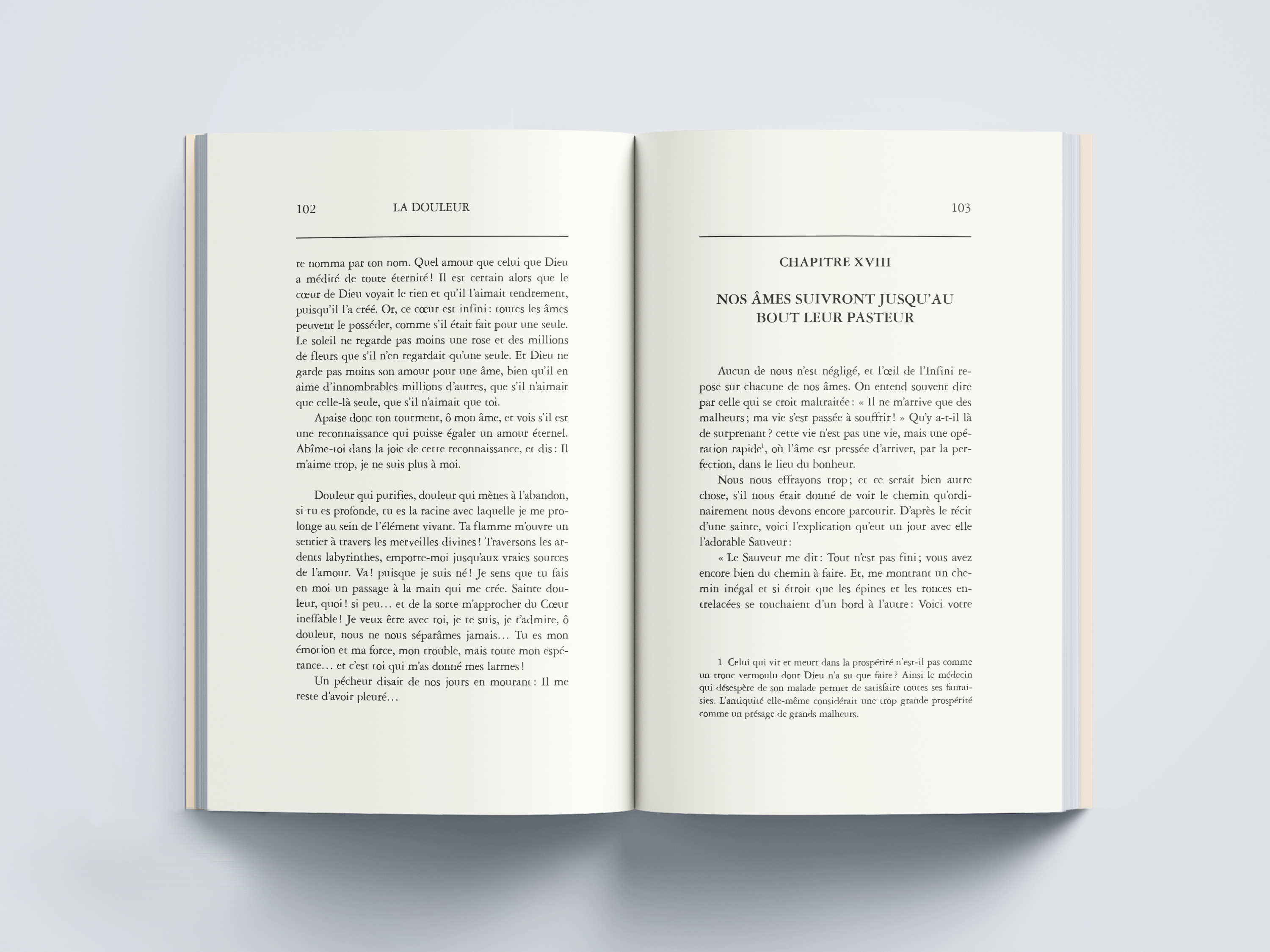 La douleur | Antoine Blanc de Saint-Bonnet