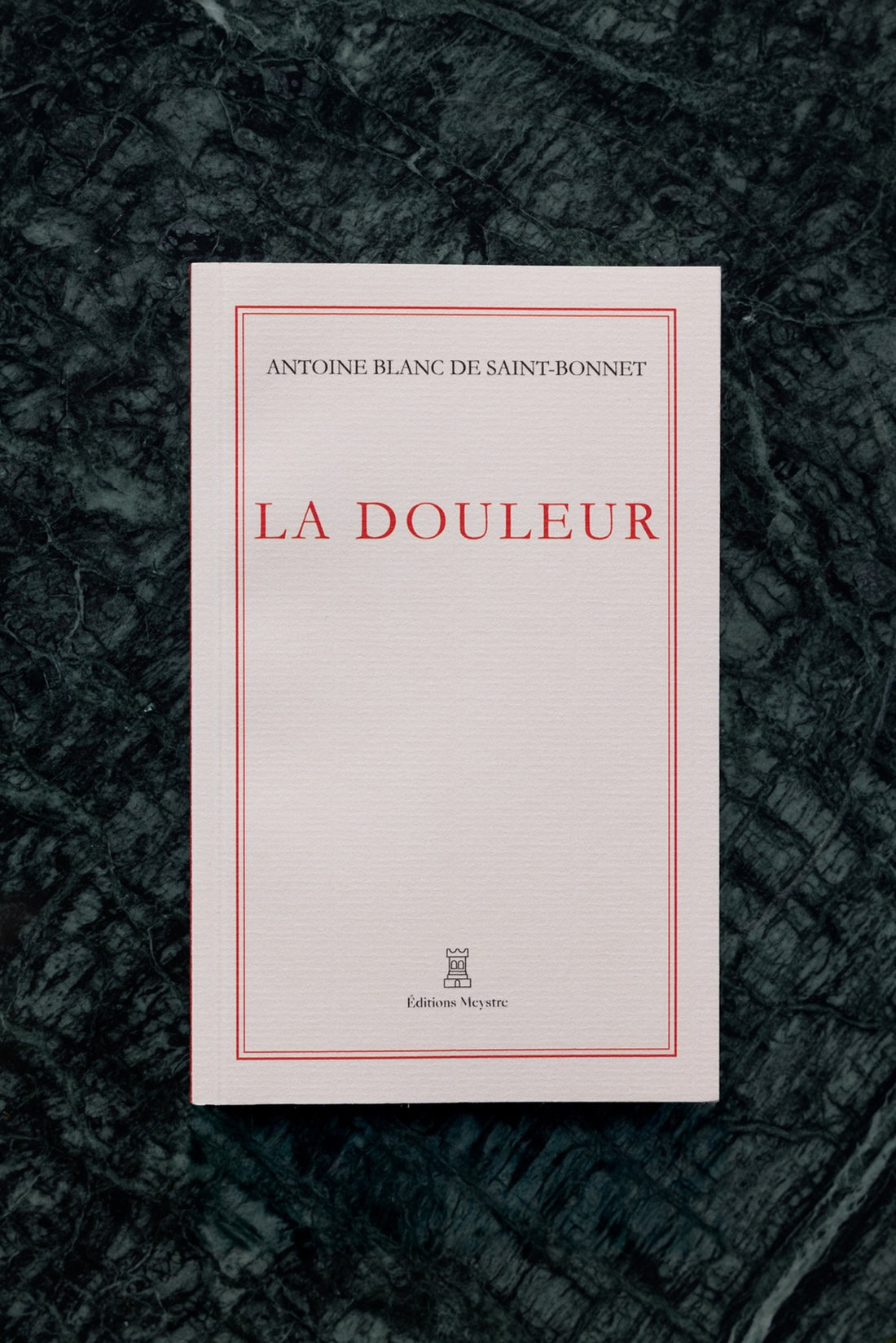 La douleur | Antoine Blanc de Saint-Bonnet