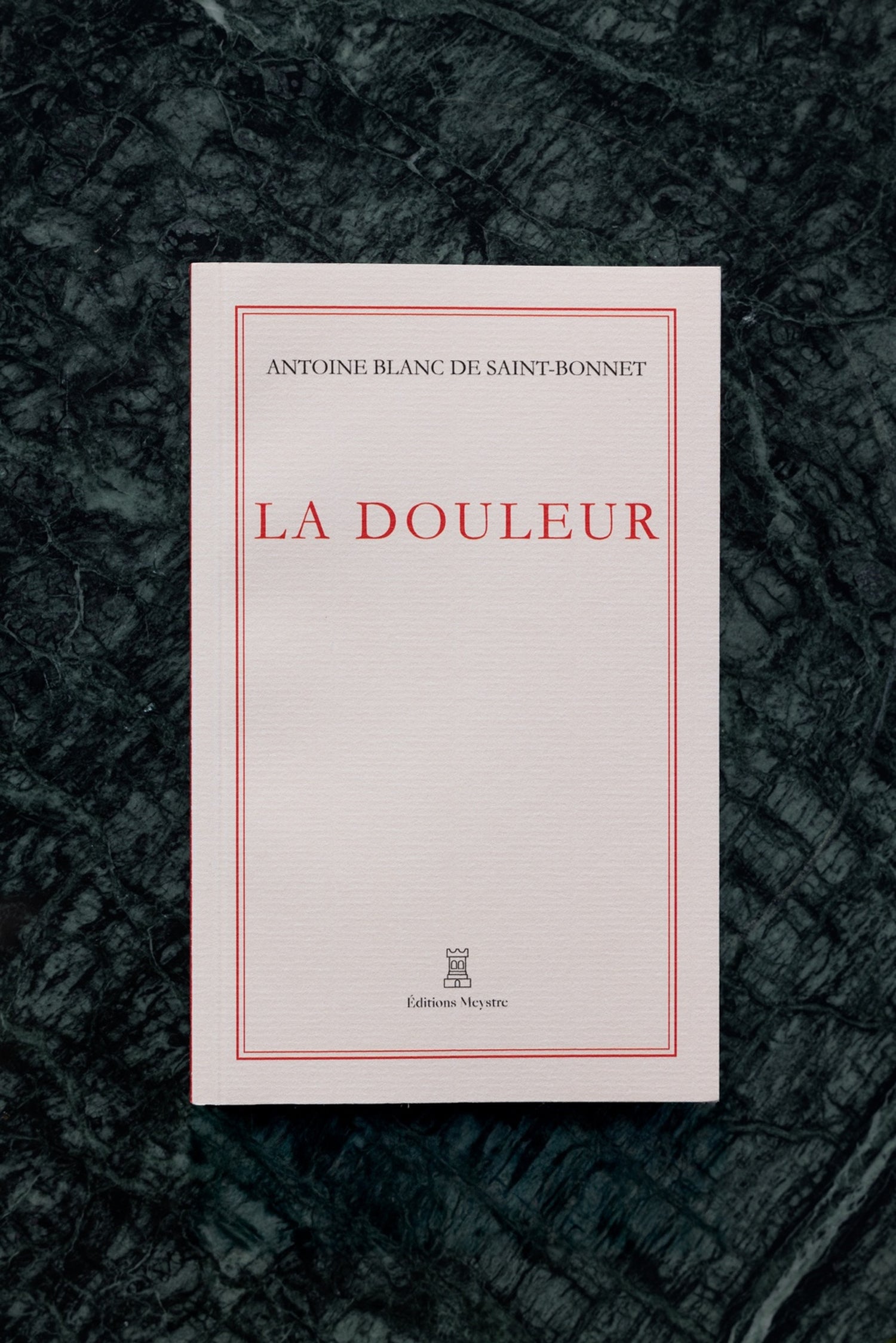 La douleur | Antoine Blanc de Saint-Bonnet